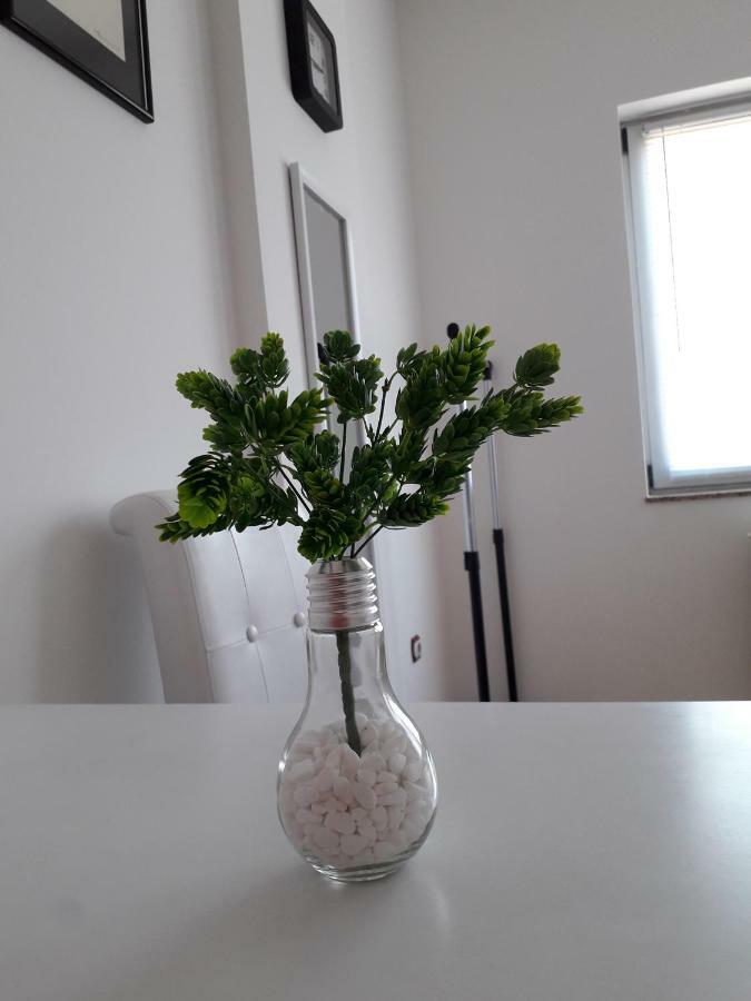Dunja Ns 2 Novi Sad