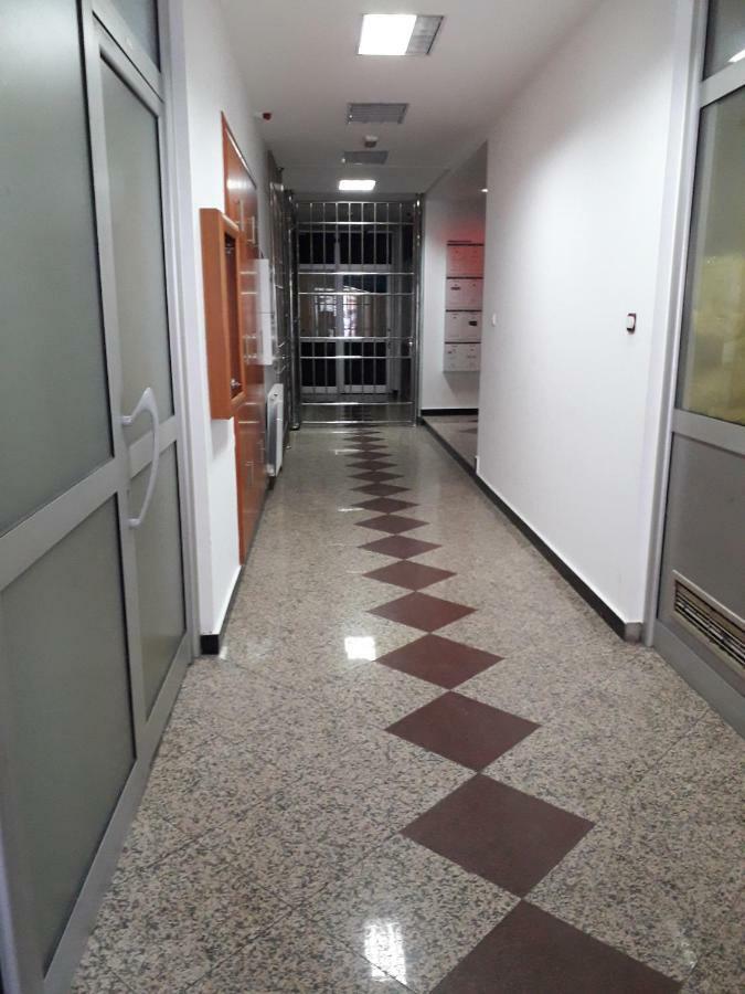 Apartment Dunja Ns 2